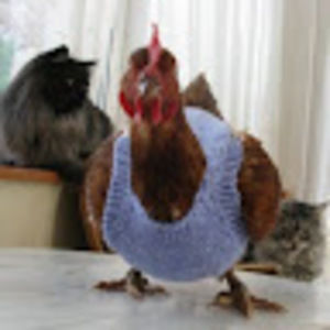 Meet your Posher, Brandy